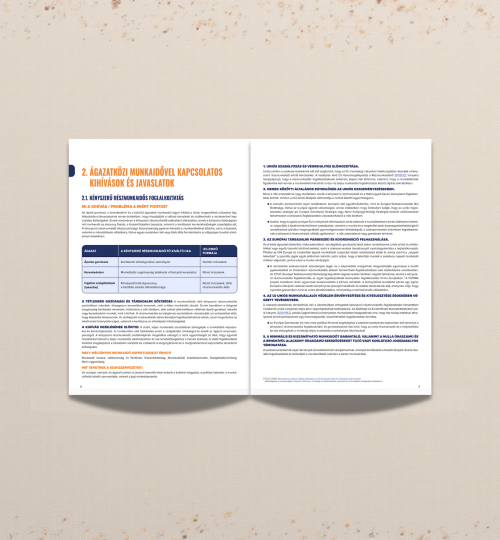 Example pages from report