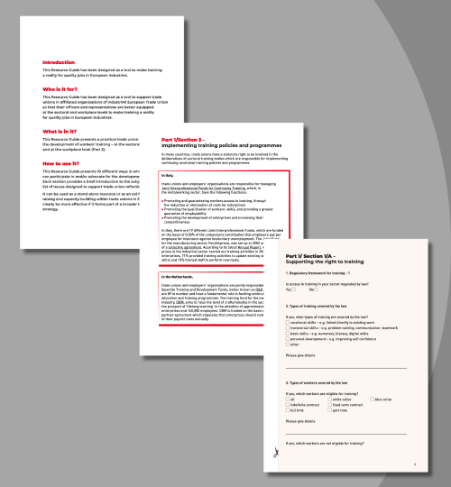 Example pages from report