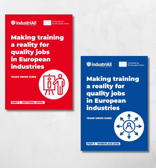 Covers of the two reports