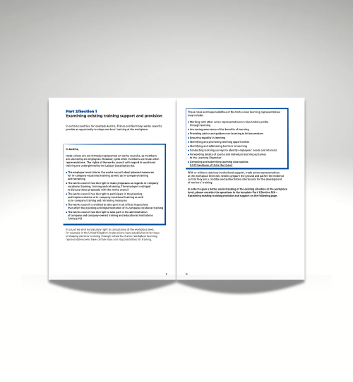 Example pages from report